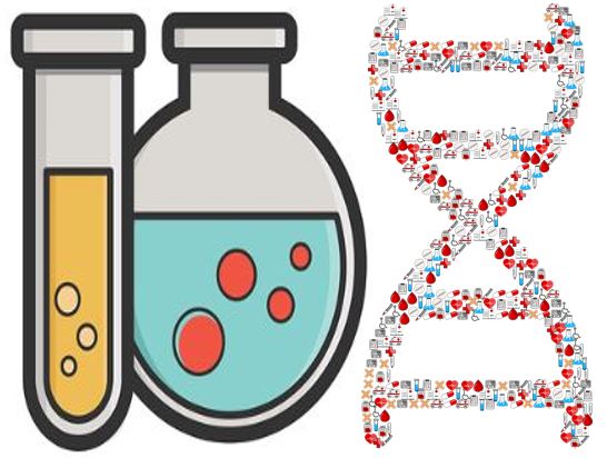 Regeneration: What is it and how does it work?