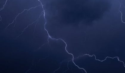 High-speed camera captures lightning-speed songbird tapping dance