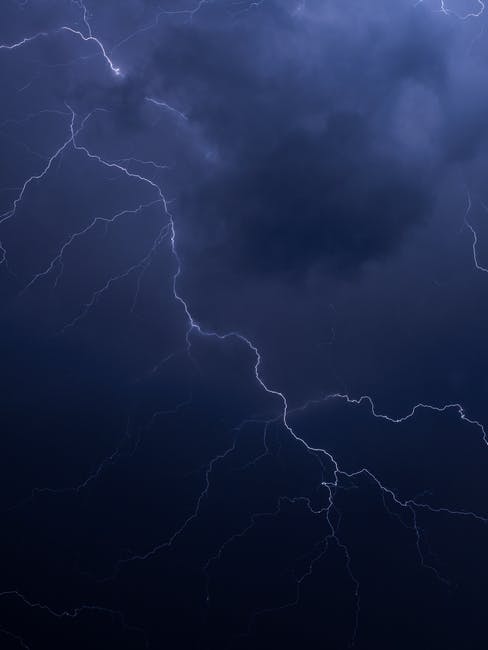 High-speed camera captures lightning-speed songbird tapping dance