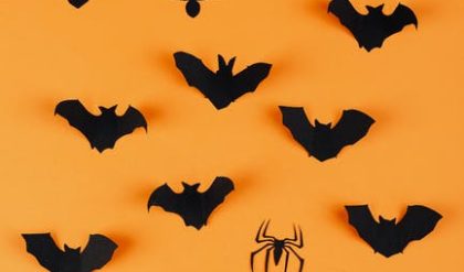 Memphis spiders create a half-mile long web.