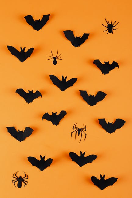 Memphis spiders create a half-mile long web.