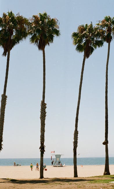 California’s Central Valley sinks at an unprecedented rate.