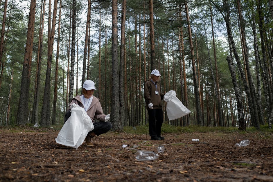 The World Resources Institute (WRI) has published a study that shows community forest rights could reduce tree falling and CO2 emissions