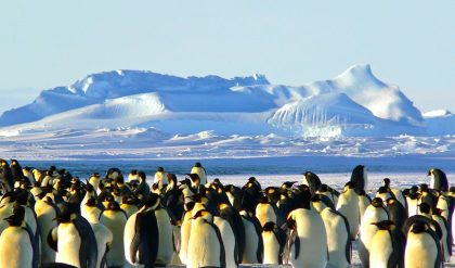 Scientists are alarmed by sudden ice loss in large part of Antarctica