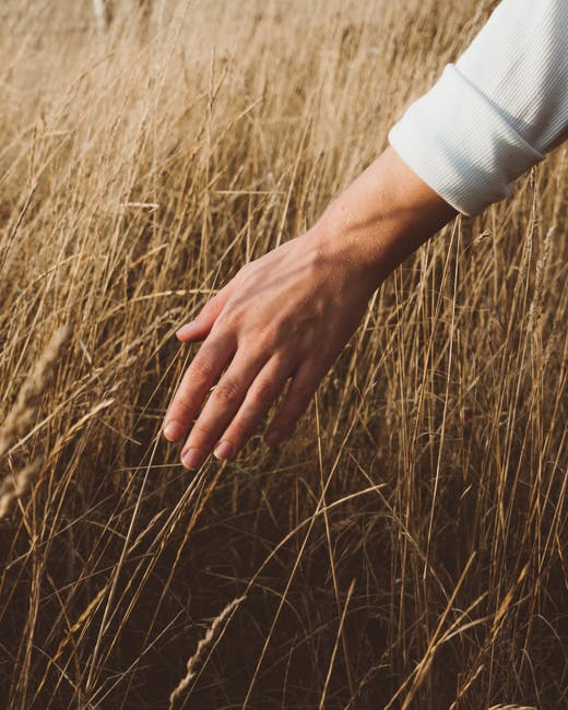 The first time a Lion touched grass was