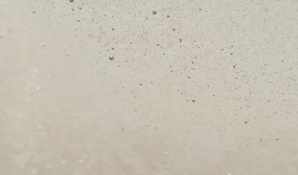 Evidence suggests that liquid water may exist on Mars near its surface.