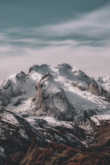 Scientists warn of a 6C increase in Earth’s temperatures by 2100.
