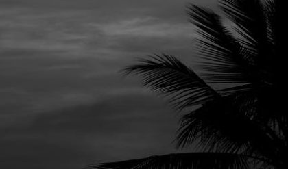 International team to verify the integrity of climate change reporting
