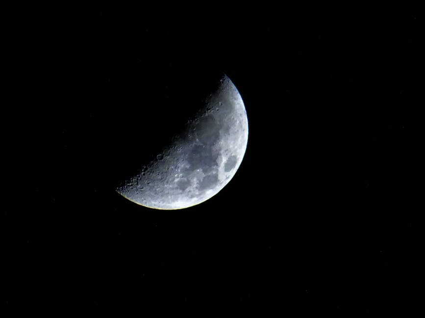 Primary schools in Scotland are being told by an astronomer that children should enjoy the eclipse outside.