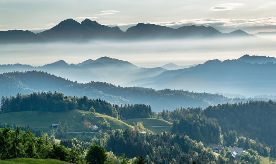 9.2 percent of European wild bees facing extinction, 5.2 percent in the near future
