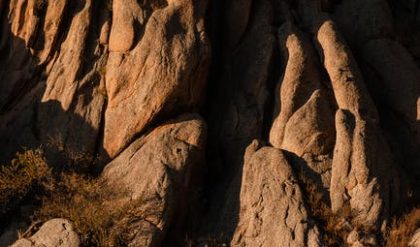 Prehistoric giant salamander predator was 200 million years old