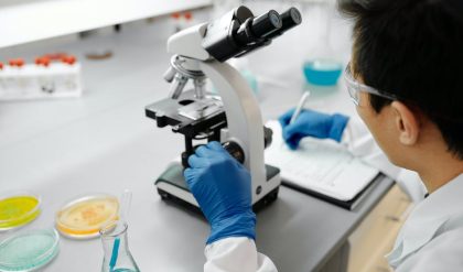 A step closer to Jurassic Park-style cloning of woolly mammoths