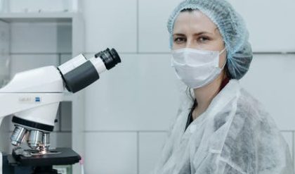 Mouse gene may protect cattle from bovine TB