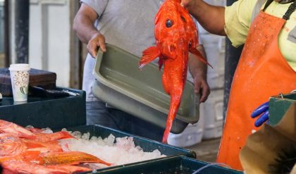 Canada and several other nations would gain from banning high-sea fishing