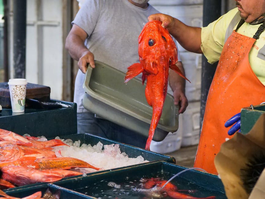 Canada and several other nations would gain from banning high-sea fishing