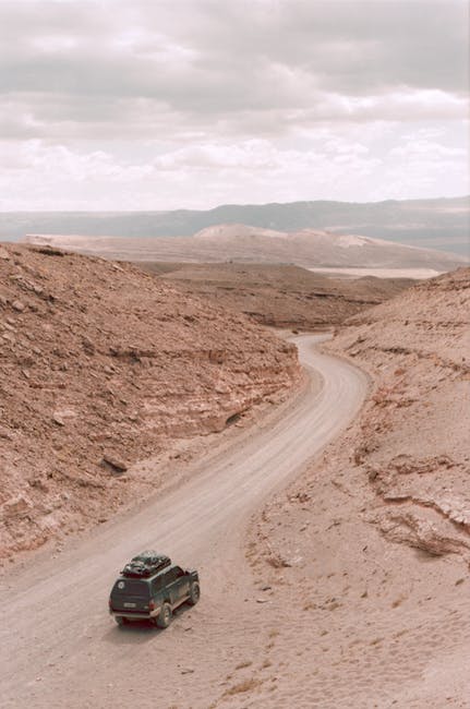 Cornell University researchers say that zombies will head towards the hills when they arrive.