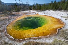 Yellowstone hot springs have been affected by trash