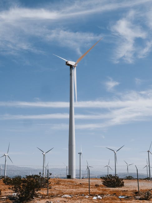 Global renewable energy generation capacity hits record