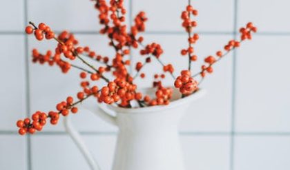 3 sätt att ta bort telefonnummer från Instagram