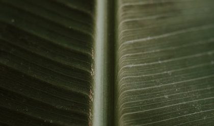 Vad är en Samsung Knox?  – Definition, hur fungerar det och mer