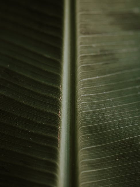 Vad är en Samsung Knox?  – Definition, hur fungerar det och mer