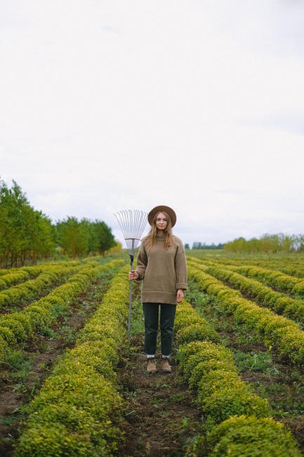Växa ditt företag: 5 skäl till att din e-handel bör investera i SEO