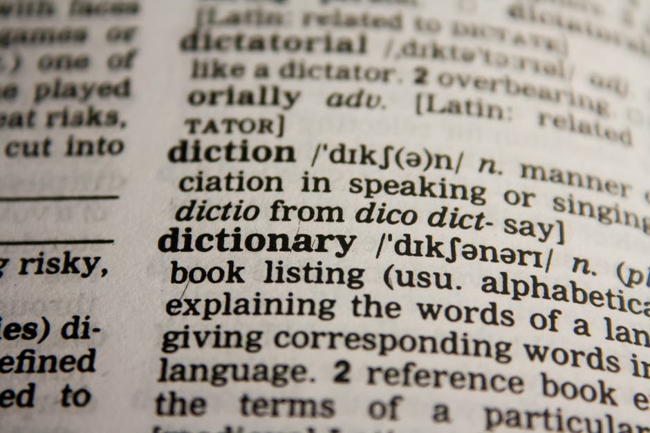 Vad är en webb?  – Definition, Evolution, Typer och mer