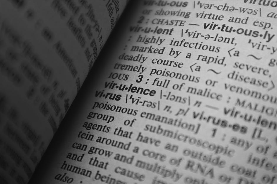 Vilken är den bästa saltspridaren?  – Definition, typer och mer